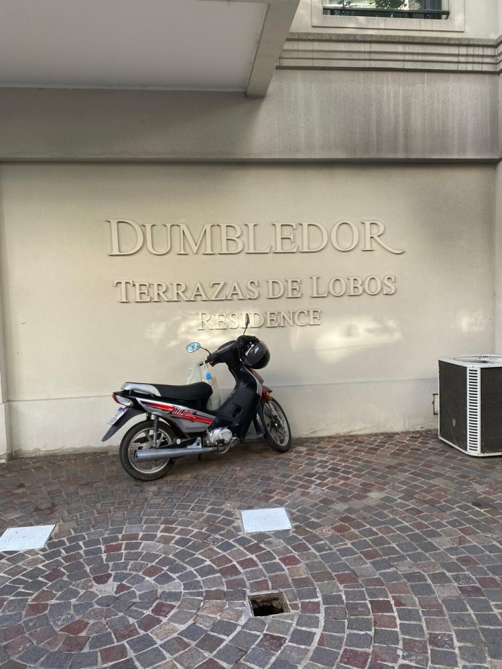 DUMBLEDOR .DEPARTAMENTO 3 AMBIENTES + DEPTO. 1 AMBIENTE. TERRAZAS DE LOBOS