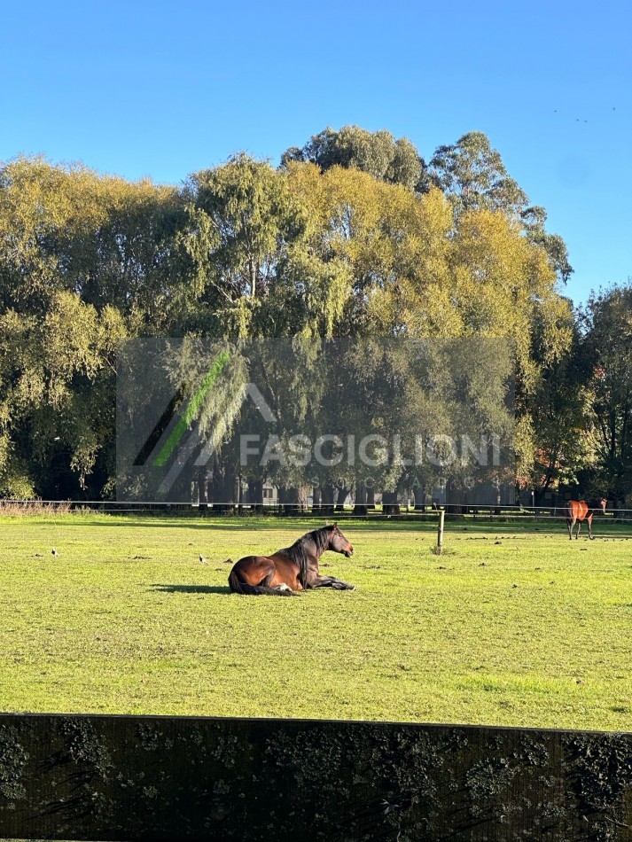 QUINTA IMPONENTE RUTA 226 km 13,5