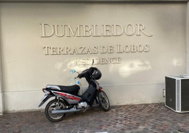 DUMBLEDOR .DEPARTAMENTO 3 AMBIENTES + DEPTO. 1 AMBIENTE. TERRAZAS DE LOBOS