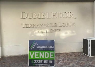 DUMBLEDOR .DEPARTAMENTO 3 AMBIENTES + DEPTO. 1 AMBIENTE. TERRAZAS DE LOBOS