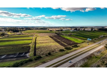 HECTAREAS 5 SOBRE RUTA 88